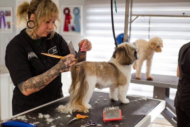 The Art of the Allure: A Comprehensive Guide to Grooming Dogs and Cats